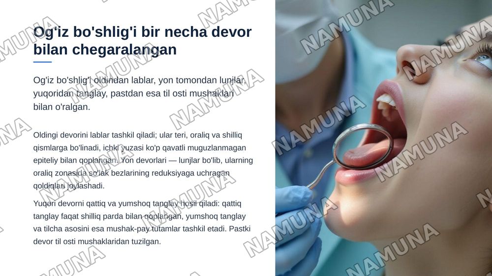 Xazm tizimi . Og'iz bo'shlig'i . Til tuzilishi so'rg'ichlari. So'lak bezlari tasnifi , tuzilishi .Tishlar. Tish tuzilishi va taraqqiyoti . Murtak va qizilo'ngach tuzilishi. — zamonaviy taqdimot, 5-slayd
