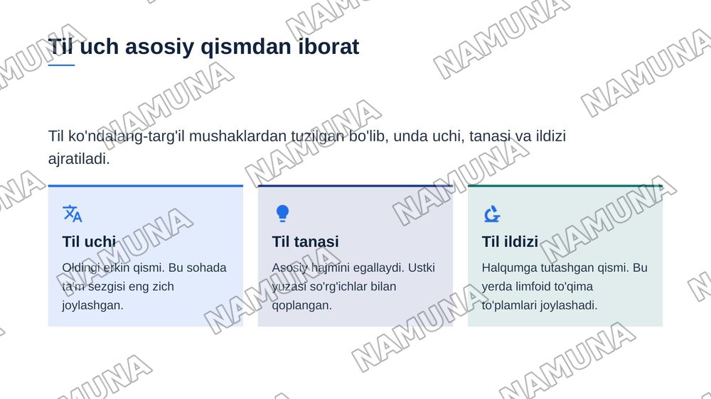 Xazm tizimi . Og'iz bo'shlig'i . Til tuzilishi so'rg'ichlari. So'lak bezlari tasnifi , tuzilishi .Tishlar. Tish tuzilishi va taraqqiyoti . Murtak va qizilo'ngach tuzilishi. — zamonaviy taqdimot, 6-slayd