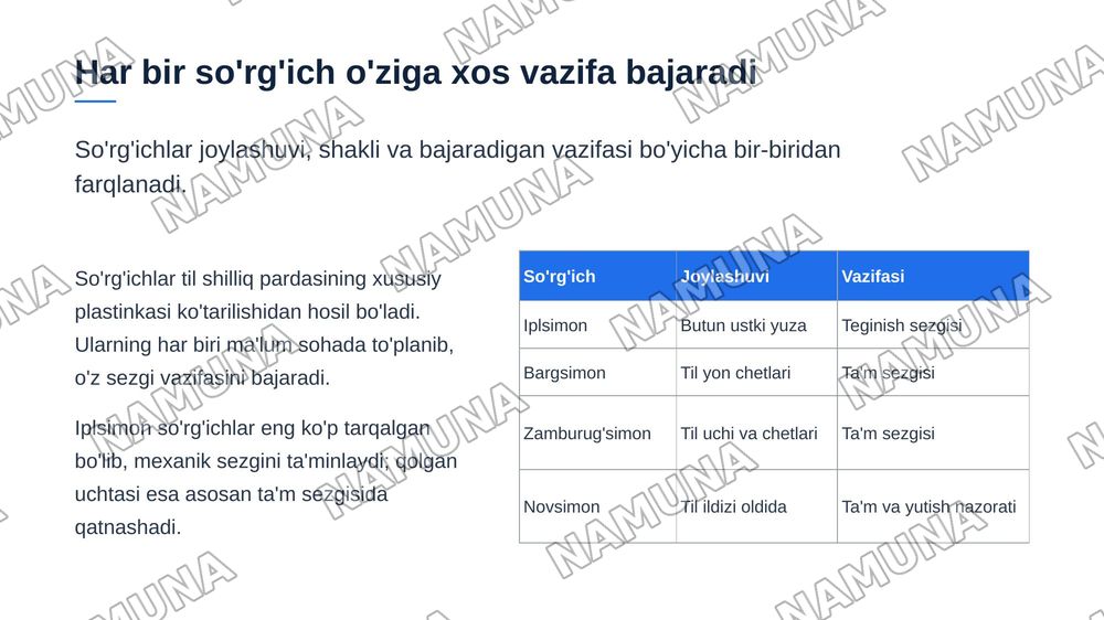 Xazm tizimi . Og'iz bo'shlig'i . Til tuzilishi so'rg'ichlari. So'lak bezlari tasnifi , tuzilishi .Tishlar. Tish tuzilishi va taraqqiyoti . Murtak va qizilo'ngach tuzilishi. — zamonaviy taqdimot, 8-slayd