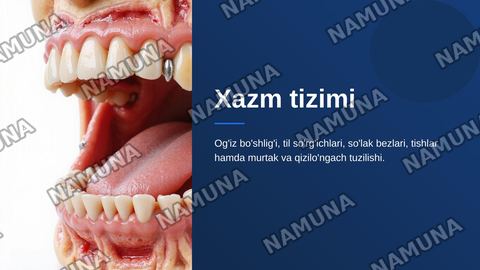 Xazm tizimi . Og'iz  bo'shlig'i . Til tuzilishi so'rg'ichlari. So'lak bezlari tasnifi , tuzilishi .Tishlar. Tish tuzilishi va taraqqiyoti . Murtak va qizilo'ngach tuzilishi. — zamonaviy taqdimot