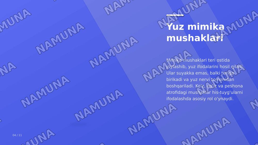 tananing bosh qismi, teri mushak suyaklar qon tomirlari va miyya — zamonaviy taqdimot, 5-slayd