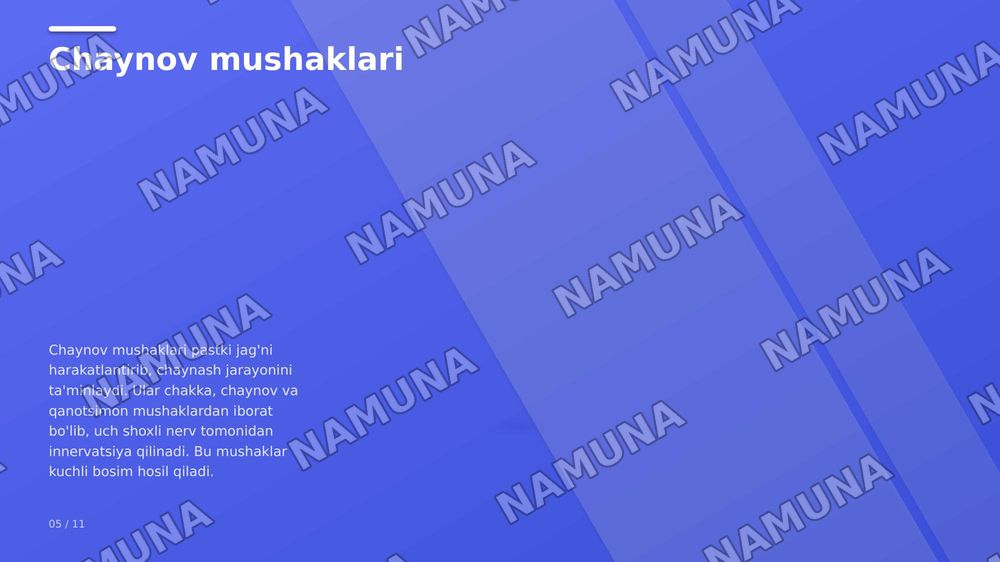 tananing bosh qismi, teri mushak suyaklar qon tomirlari va miyya — zamonaviy taqdimot, 7-slayd