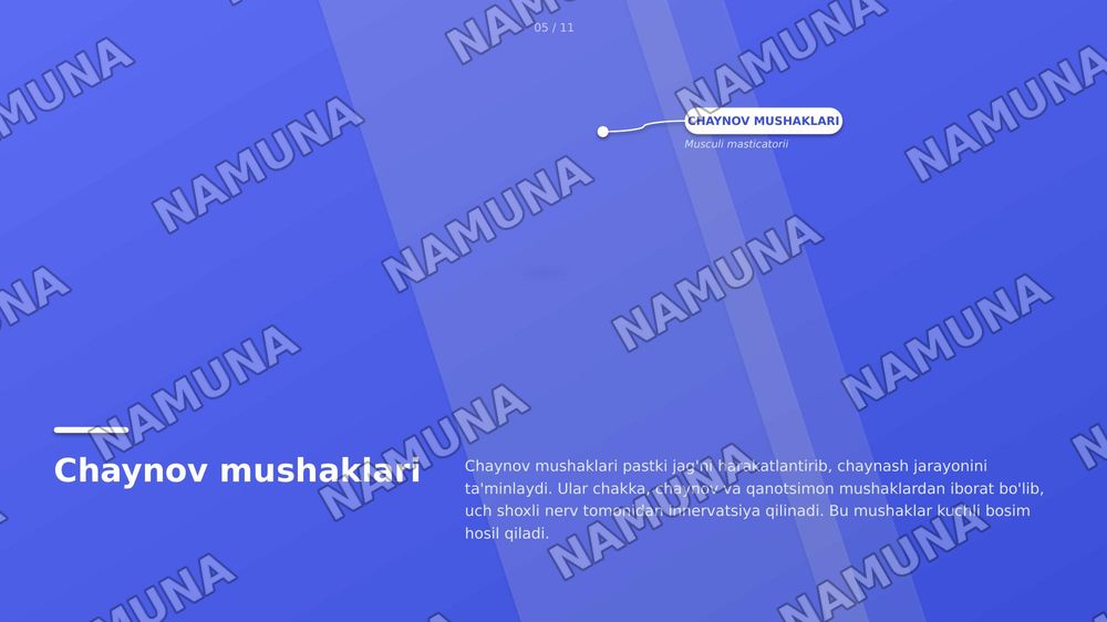 tananing bosh qismi, teri mushak suyaklar qon tomirlari va miyya — zamonaviy taqdimot, 8-slayd