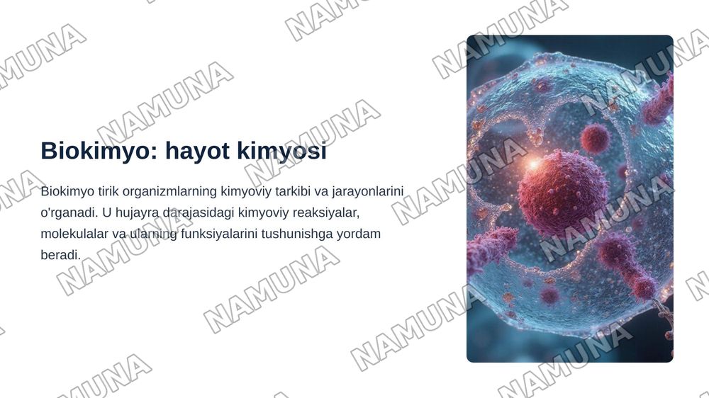 Biokimyo tani va uning vazifasi bilan tanishtirish. Moddalar almashinuviga kirish. Metabolizm Tog'risida tushuncha. Ovgatlanish biokimyosi — zamonaviy taqdimot, 3-slayd