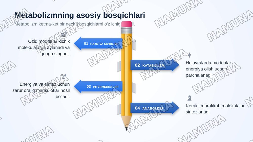 Biokimyo tani va uning vazifasi bilan tanishtirish. Moddalar almashinuviga kirish. Metabolizm Tog'risida tushuncha. Ovgatlanish biokimyosi — zamonaviy taqdimot, 6-slayd