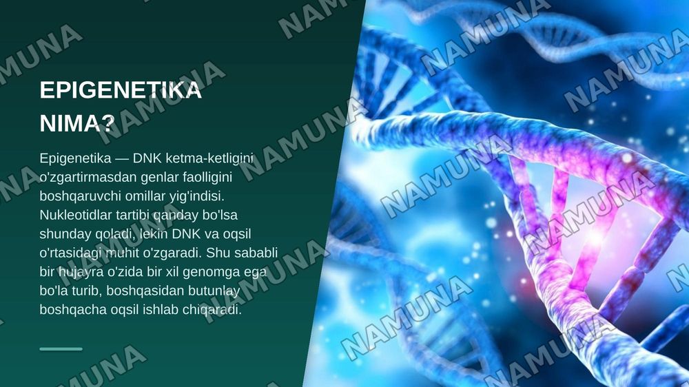 Epigenetik omillarning genlar faolligiga ta'siri — zamonaviy taqdimot, 4-slayd