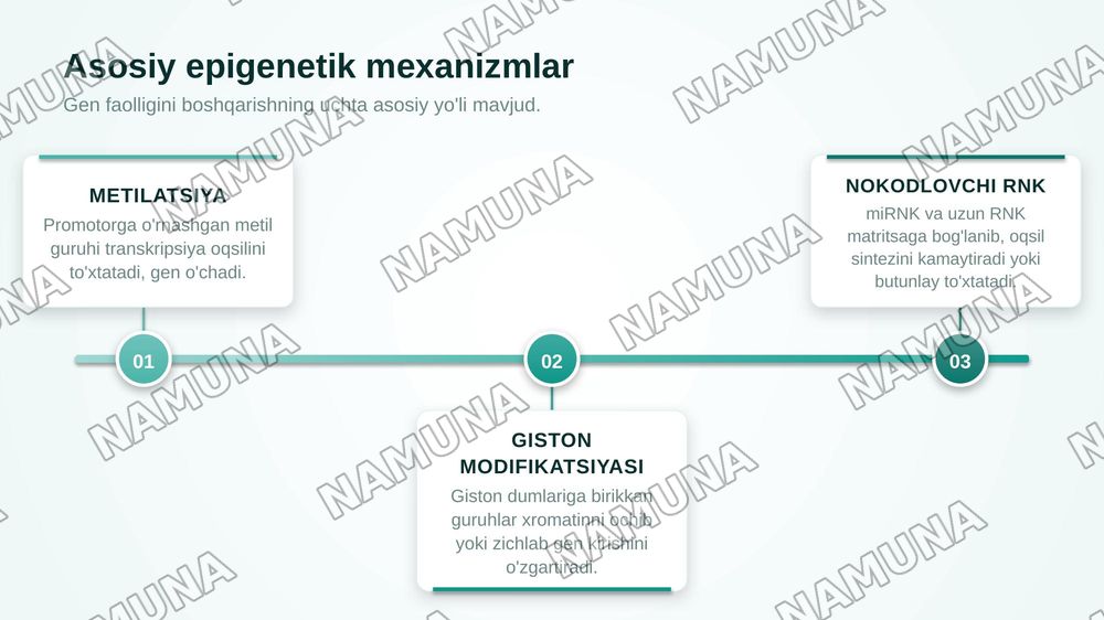 Epigenetik omillarning genlar faolligiga ta'siri — zamonaviy taqdimot, 6-slayd
