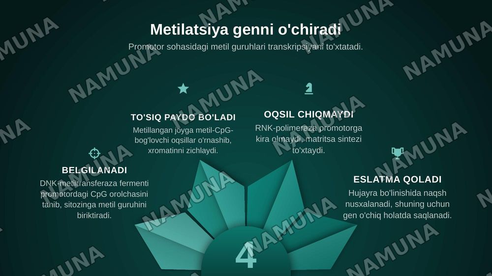 Epigenetik omillarning genlar faolligiga ta'siri — zamonaviy taqdimot, 7-slayd