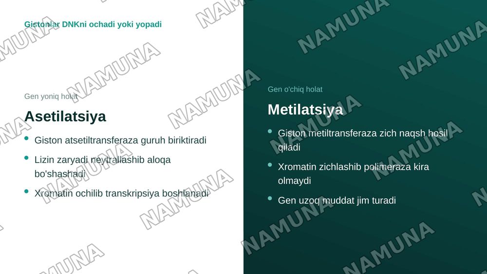 Epigenetik omillarning genlar faolligiga ta'siri — zamonaviy taqdimot, 8-slayd