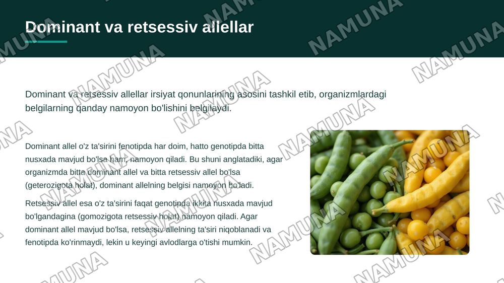 Monoduragay chatishtirish, allel genlarning oʻzaro ta'siri, Kodominantlik — zamonaviy taqdimot, 7-slayd