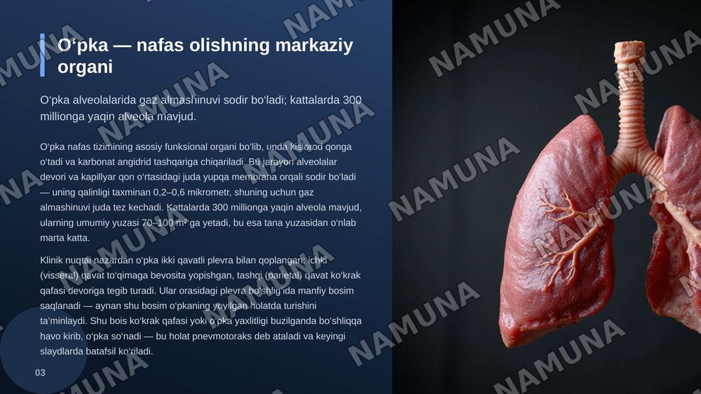 O‘pka, o‘pka ildizi va havo o‘tkazuvchi yo‘llarning klinik anatomiyasi
O‘pka jarohatiga chok qo‘yish — zamonaviy taqdimot, 4-slayd