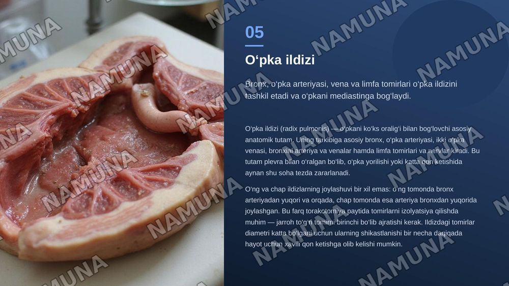 O‘pka, o‘pka ildizi va havo o‘tkazuvchi yo‘llarning klinik anatomiyasi
O‘pka jarohatiga chok qo‘yish — zamonaviy taqdimot, 6-slayd