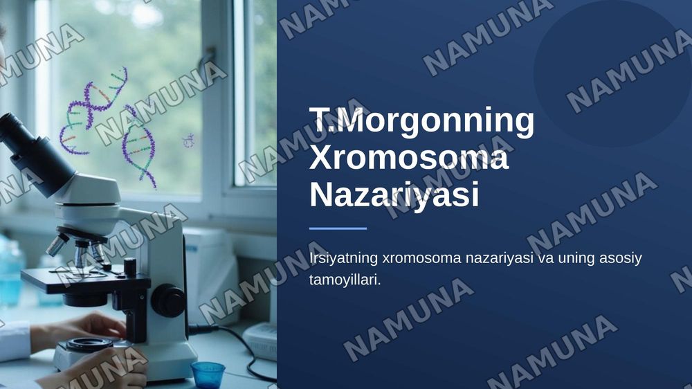 T.Morgonning ,irsiyatning, xromosoma nazariyasi. Genlarning birikish hodisasi. Krasingover belgilarning jinsga birikkan holda irsiylanishi. — zamonaviy taqdimot, 1-slayd
