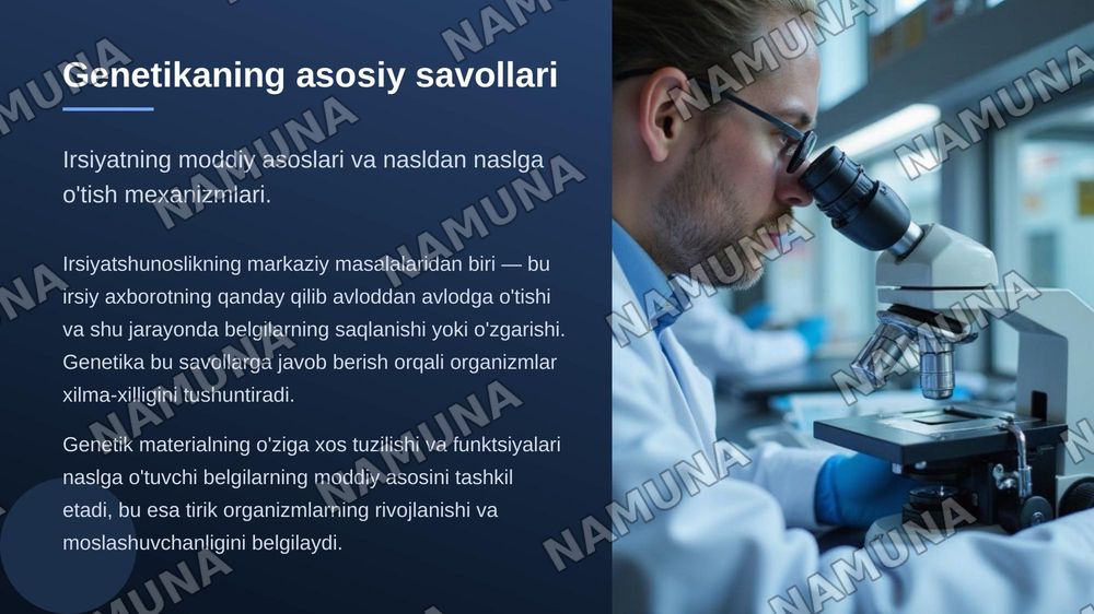 T.Morgonning ,irsiyatning, xromosoma nazariyasi. Genlarning birikish hodisasi. Krasingover belgilarning jinsga birikkan holda irsiylanishi. — zamonaviy taqdimot, 3-slayd