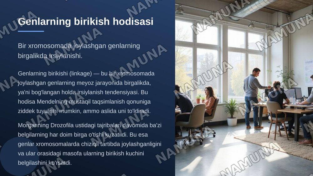 T.Morgonning ,irsiyatning, xromosoma nazariyasi. Genlarning birikish hodisasi. Krasingover belgilarning jinsga birikkan holda irsiylanishi. — zamonaviy taqdimot, 6-slayd