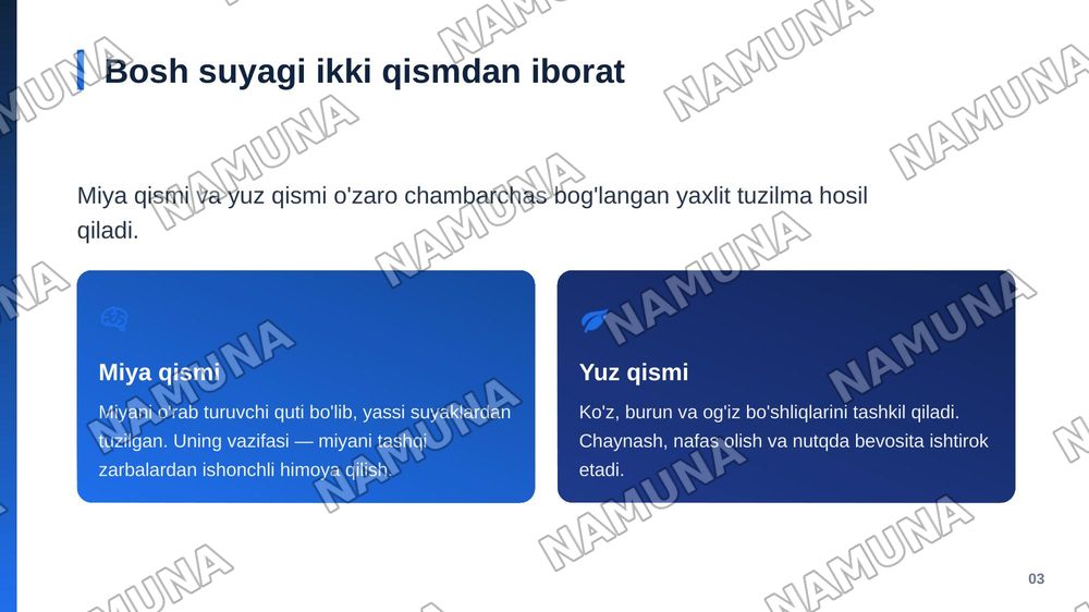 Bosh suyagi va qisimlari — zamonaviy taqdimot, 4-slayd