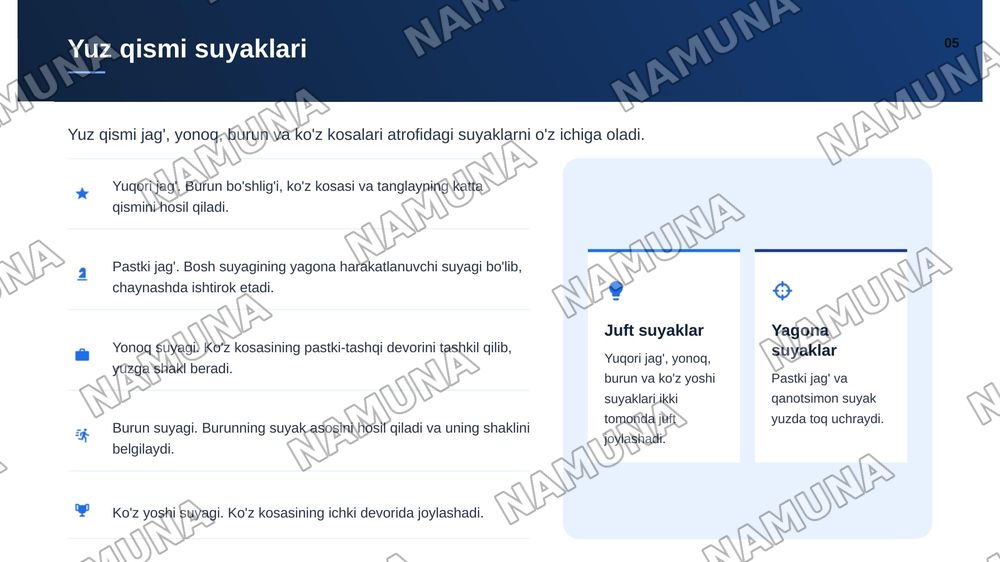 Bosh suyagi va qisimlari — zamonaviy taqdimot, 6-slayd