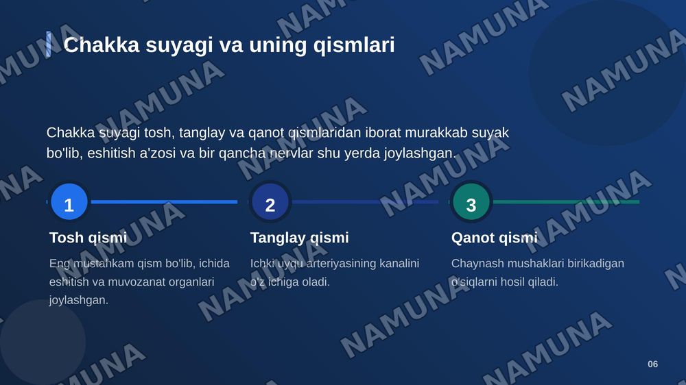 Bosh suyagi va qisimlari — zamonaviy taqdimot, 7-slayd
