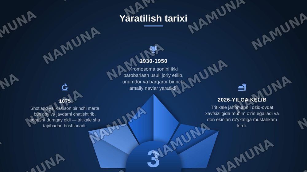 “Tritikale (×Triticosecale Wittmack) o'simligining kelib chiqishi, yaratilishi, genetik xususiyatlari va seleksiyadagi ahamiyati” — zamonaviy taqdimot, 4-slayd