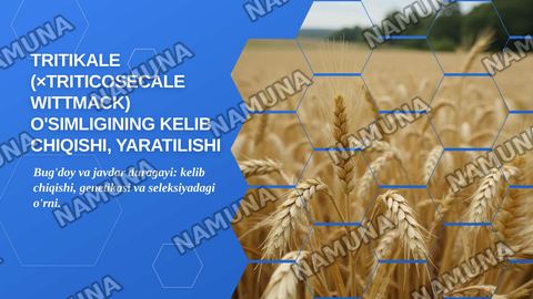 “Tritikale (×Triticosecale Wittmack) o'simligining kelib chiqishi, yaratilishi, genetik xususiyatlari va seleksiyadagi ahamiyati” — zamonaviy taqdimot
