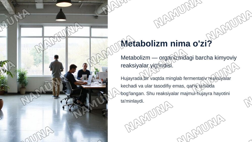 Metabalizm tushunchasi — zamonaviy taqdimot, 4-slayd