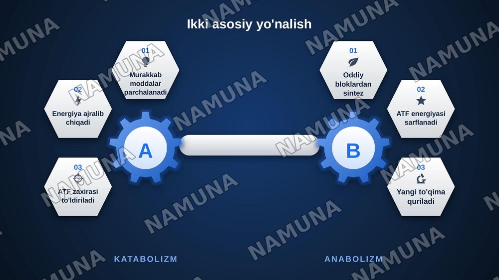 Metabalizm tushunchasi — zamonaviy taqdimot, 5-slayd