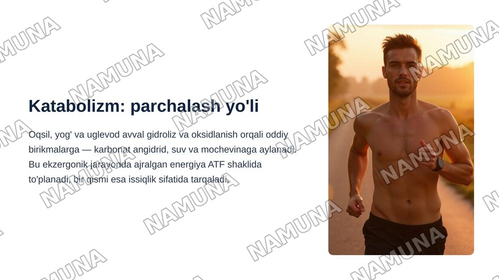 Metabalizm tushunchasi — zamonaviy taqdimot, 6-slayd