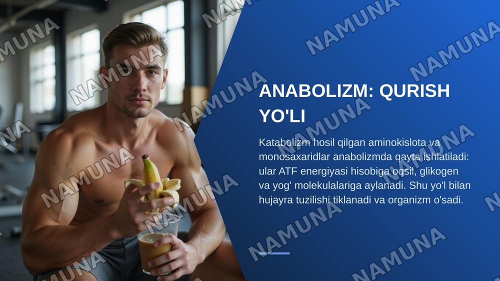 Metabalizm tushunchasi — zamonaviy taqdimot, 7-slayd