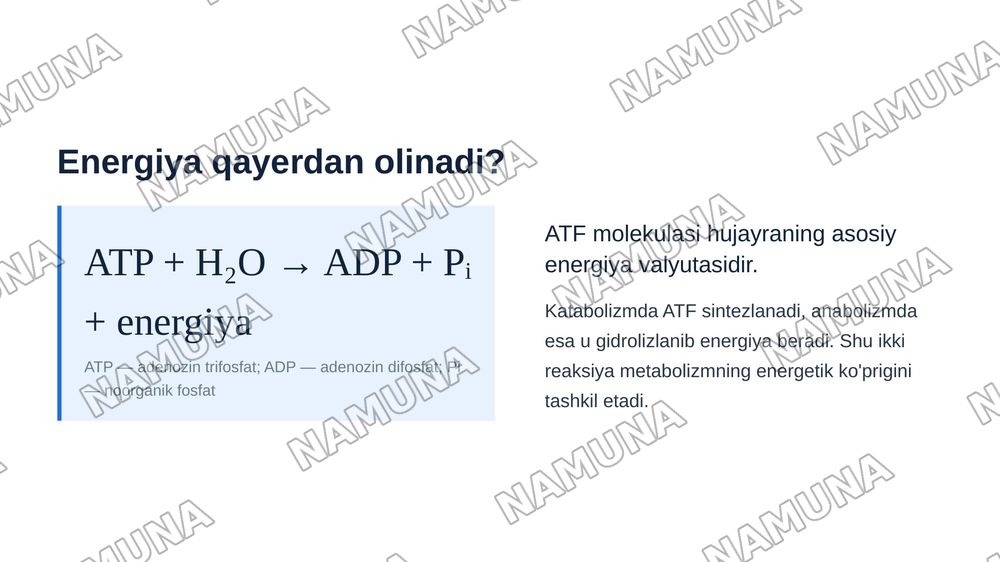Metabalizm tushunchasi — zamonaviy taqdimot, 8-slayd