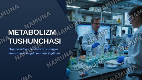 Metabalizm tushunchasi — zamonaviy taqdimot