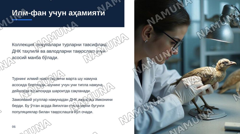 Хайвонатлар коллекцияси — zamonaviy taqdimot, 7-slayd