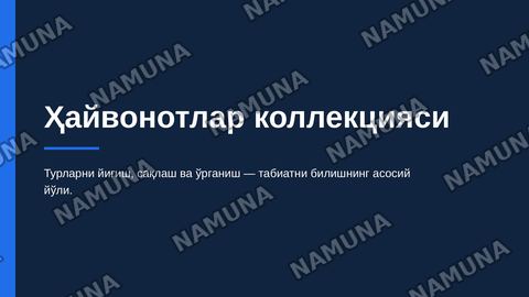 Хайвонатлар коллекцияси — zamonaviy taqdimot
