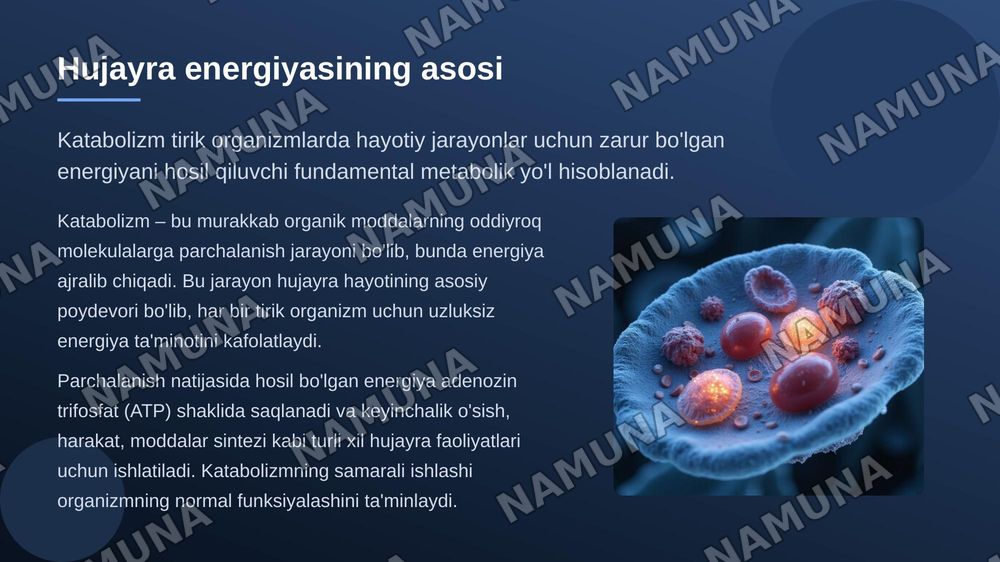 Katabalizimning umumiy yollari — zamonaviy taqdimot, 3-slayd