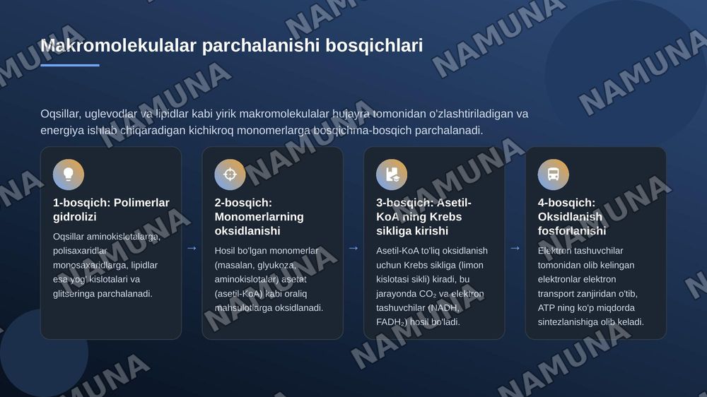 Katabalizimning umumiy yollari — zamonaviy taqdimot, 5-slayd
