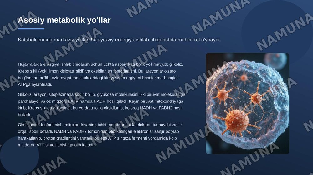Katabalizimning umumiy yollari — zamonaviy taqdimot, 6-slayd