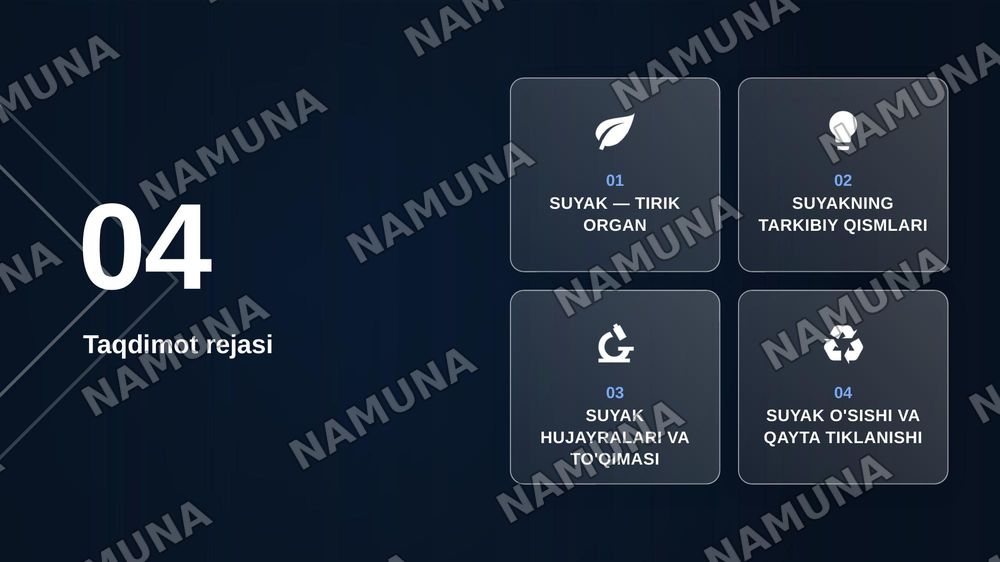 Suyak tuzilishi — zamonaviy taqdimot, 2-slayd