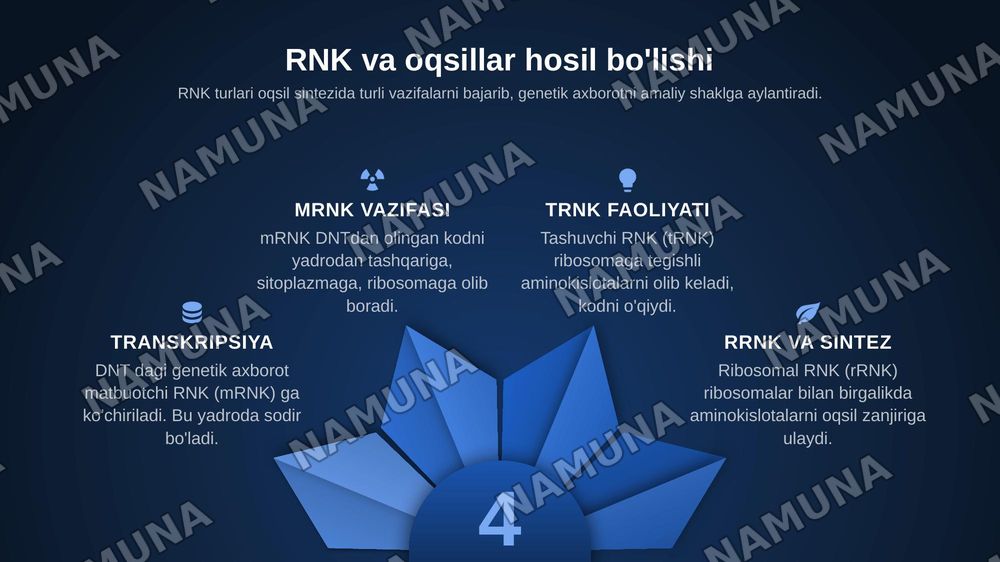 Denkaning oqsil biosintezidagi roli genetik kot genetik injineria nomidan ozganuvchanlik va uning shakilari nomidan irsiy  bolmagan ozgaruvchanlik — zamonaviy taqdimot, 5-slayd