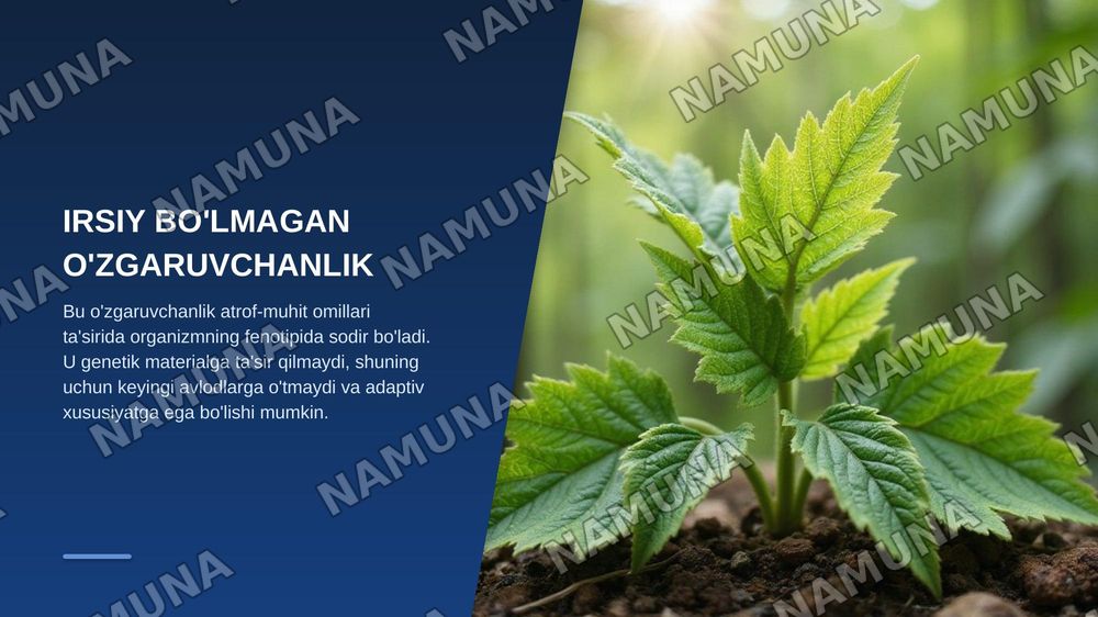 Denkaning oqsil biosintezidagi roli genetik kot genetik injineria nomidan ozganuvchanlik va uning shakilari nomidan irsiy  bolmagan ozgaruvchanlik — zamonaviy taqdimot, 8-slayd