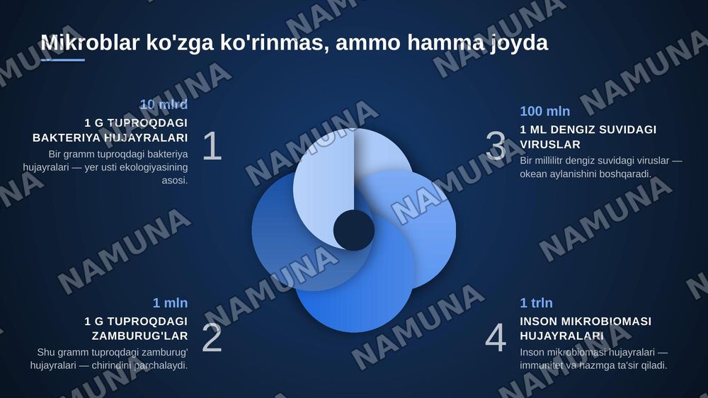 Mikroorganizmlarning zamonaviy sistematikasi — zamonaviy taqdimot, 3-slayd