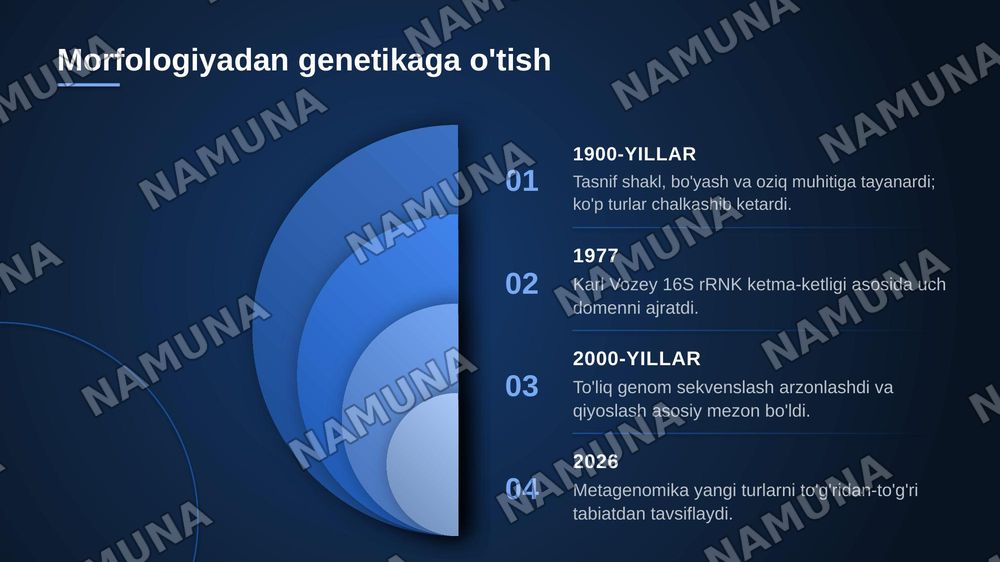 Mikroorganizmlarning zamonaviy sistematikasi — zamonaviy taqdimot, 4-slayd