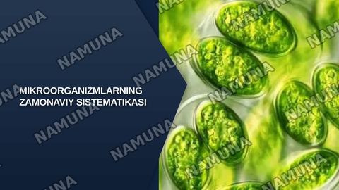 Mikroorganizmlarning zamonaviy sistematikasi — zamonaviy taqdimot