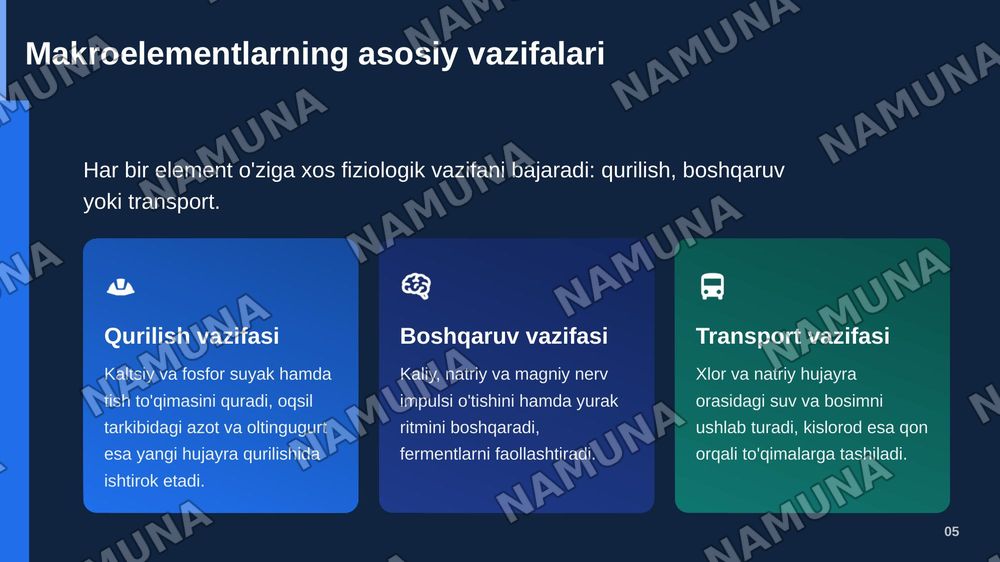 Biogen makroelementlarning ovqatlanishdagi ahamiyati — zamonaviy taqdimot, 6-slayd