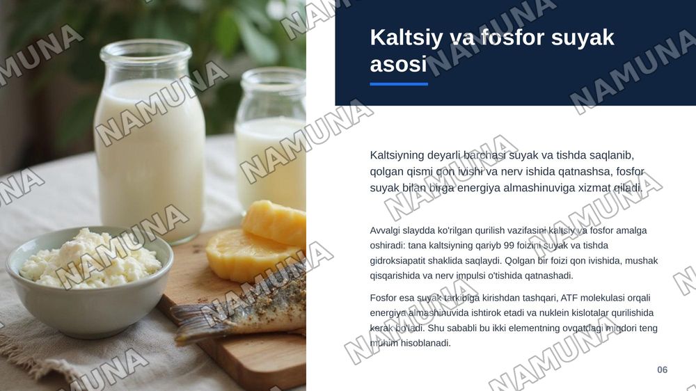 Biogen makroelementlarning ovqatlanishdagi ahamiyati — zamonaviy taqdimot, 7-slayd