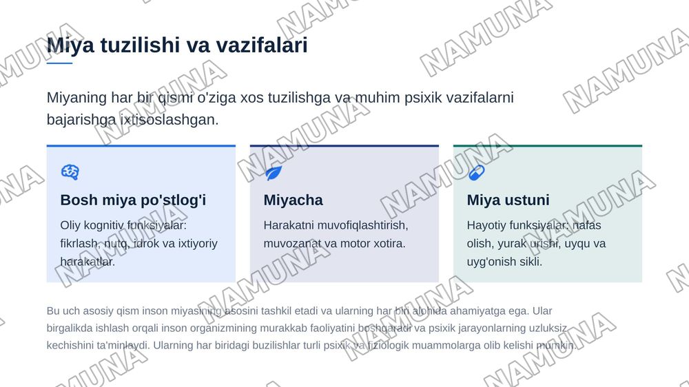 Psixik jarayonlar va miyaning oʻzaro aloqadorligi — zamonaviy taqdimot, 5-slayd