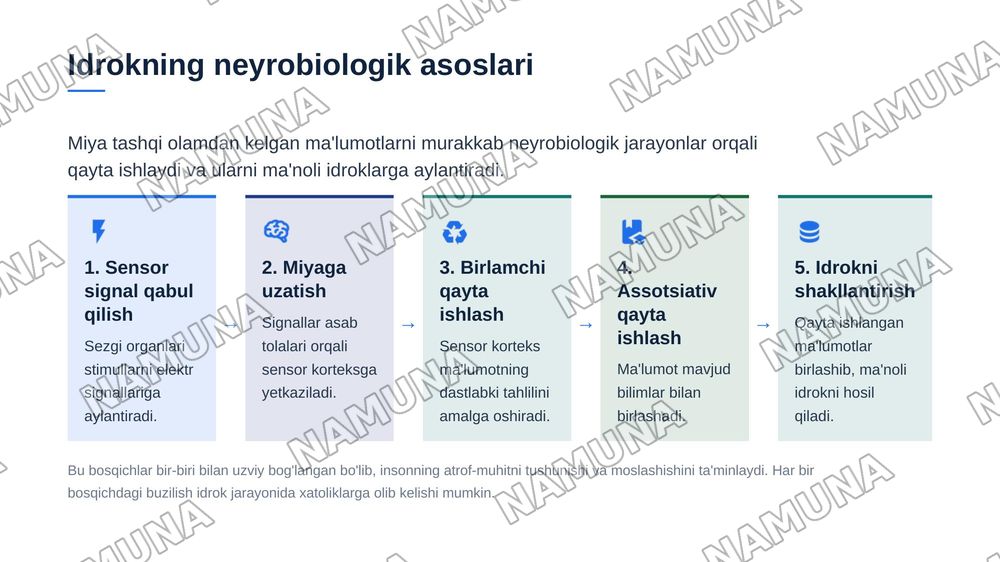 Psixik jarayonlar va miyaning oʻzaro aloqadorligi — zamonaviy taqdimot, 7-slayd