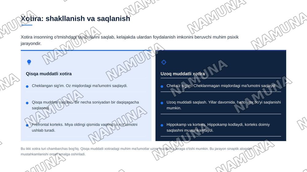 Psixik jarayonlar va miyaning oʻzaro aloqadorligi — zamonaviy taqdimot, 8-slayd