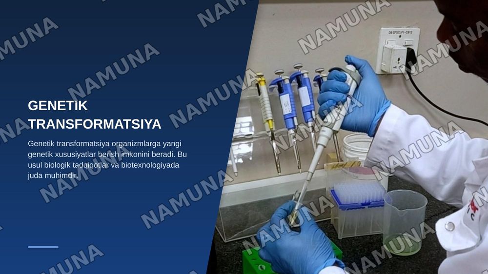 Heat-shock usulining mohiyati va plazmidani E-coliga transformatsiya qilish .Transformatsiya qilingan bakteriyalarning o’sishi va gen ekspressiyasi — zamonaviy taqdimot, 3-slayd
