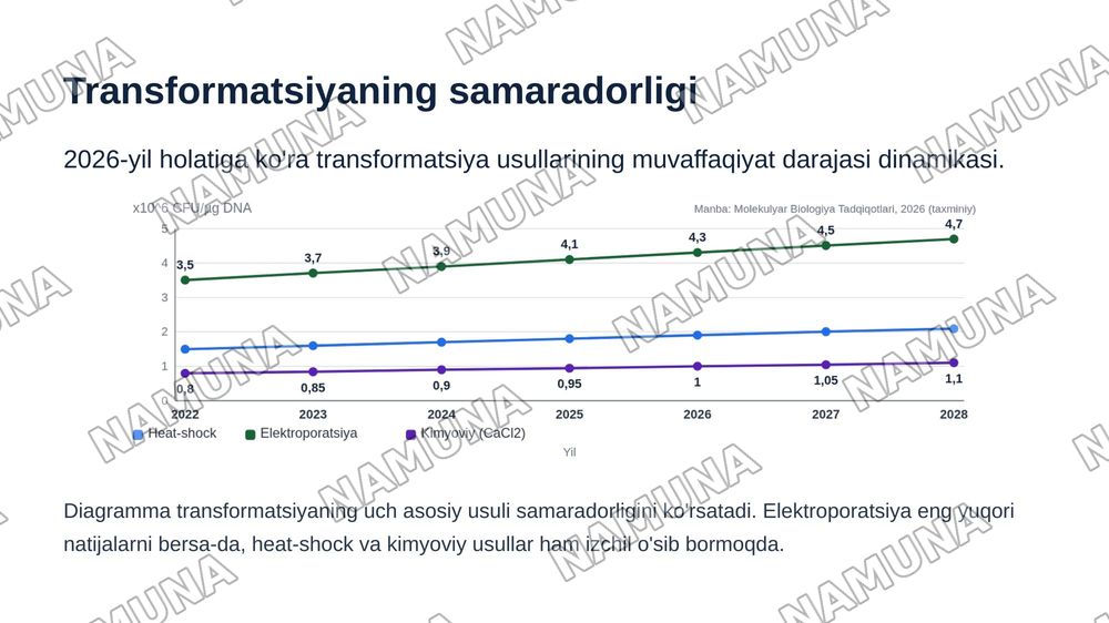Heat-shock usulining mohiyati va plazmidani E-coliga transformatsiya qilish .Transformatsiya qilingan bakteriyalarning o’sishi va gen ekspressiyasi — zamonaviy taqdimot, 8-slayd
