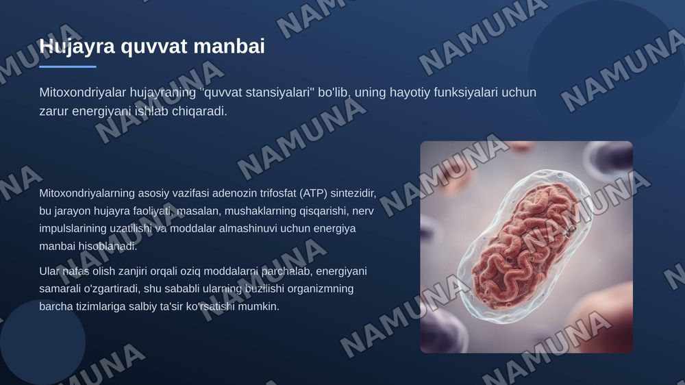 Mitoxondrial kasalliklar va gipoenergetik holatlar — zamonaviy taqdimot, 3-slayd