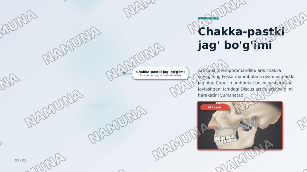 Chakka — zamonaviy taqdimot, 4-slayd